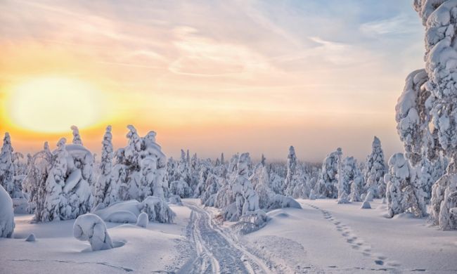 Tammikuun Tärpit